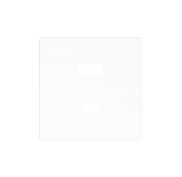 Zennio ZSI2UCA + ZS55C2UCAY ZS55 – USB C+A Charger