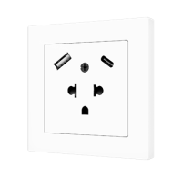 Zennio ZS55IEUA2US ZS55 – Euro-American socket with USB C + A