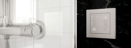 Zennio ZVIT55X1S Tecla 55 X1*, Silver